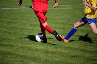 乐鱼app下载-仰泳大战美队领先毫厘之间,仰泳比赛视频欣赏