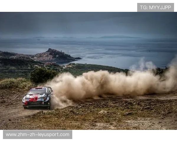 精准制胜：WRC车载摄像头捕捉精彩瞬间，车载camera