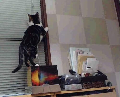 乐鱼官网优惠-英超球队通过战术疲劳评分系统调整比赛节奏控制策略,英超赛后球员评分网站