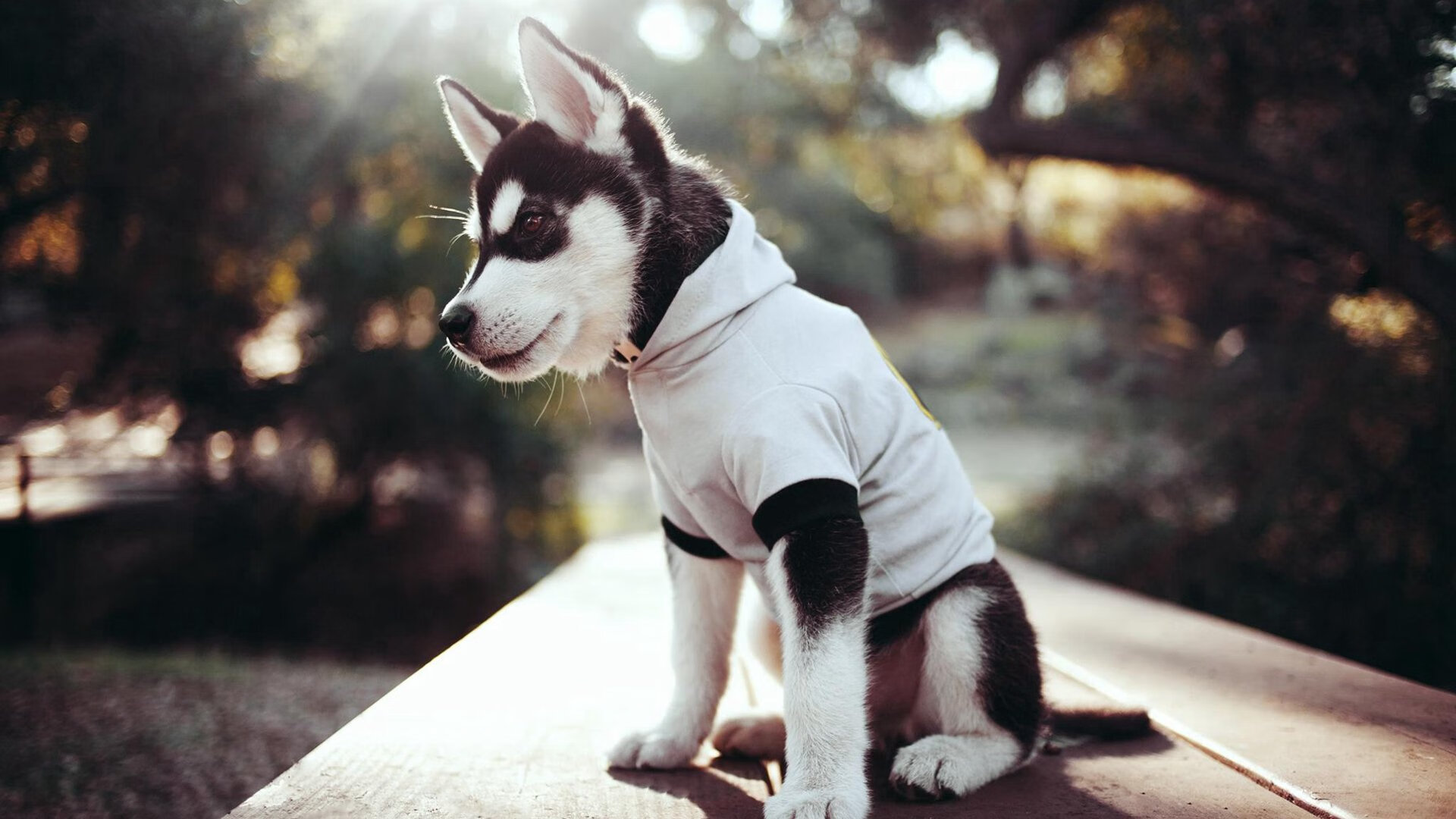 乐鱼体育在线下载-英超青训计划引入数字化情境模拟提升战术意识建立,英超球队训练基地