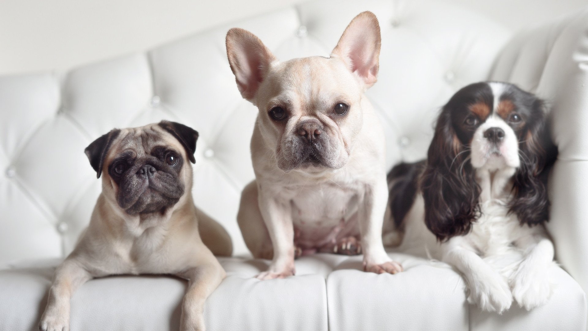 乐鱼官网安全-“新都香城体育中心,福乐球赛场谁主沉浮?”