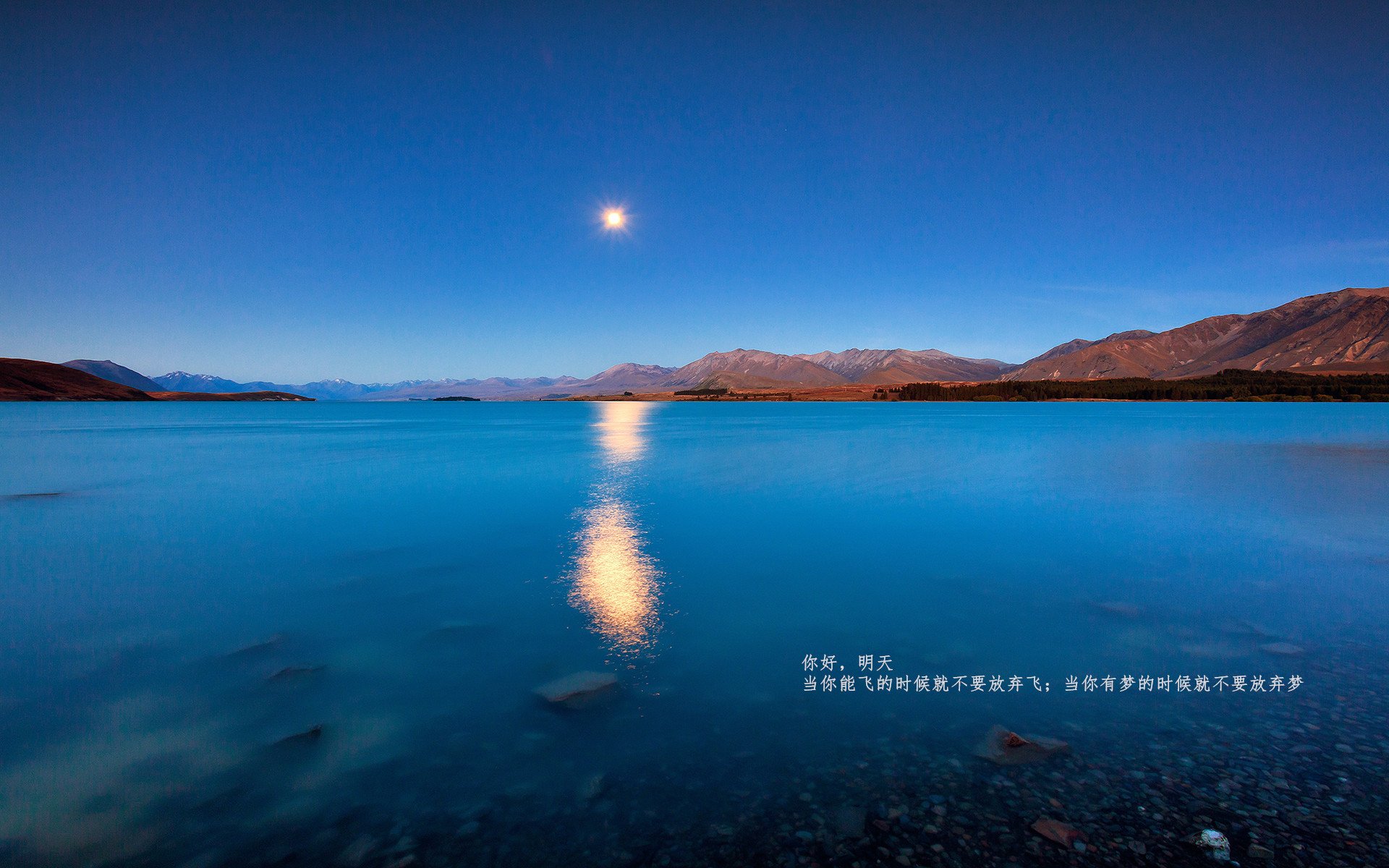 乐鱼体育app官网下载-五大联赛转会窗口期后成绩波动是否更明显,五大联赛转会截止