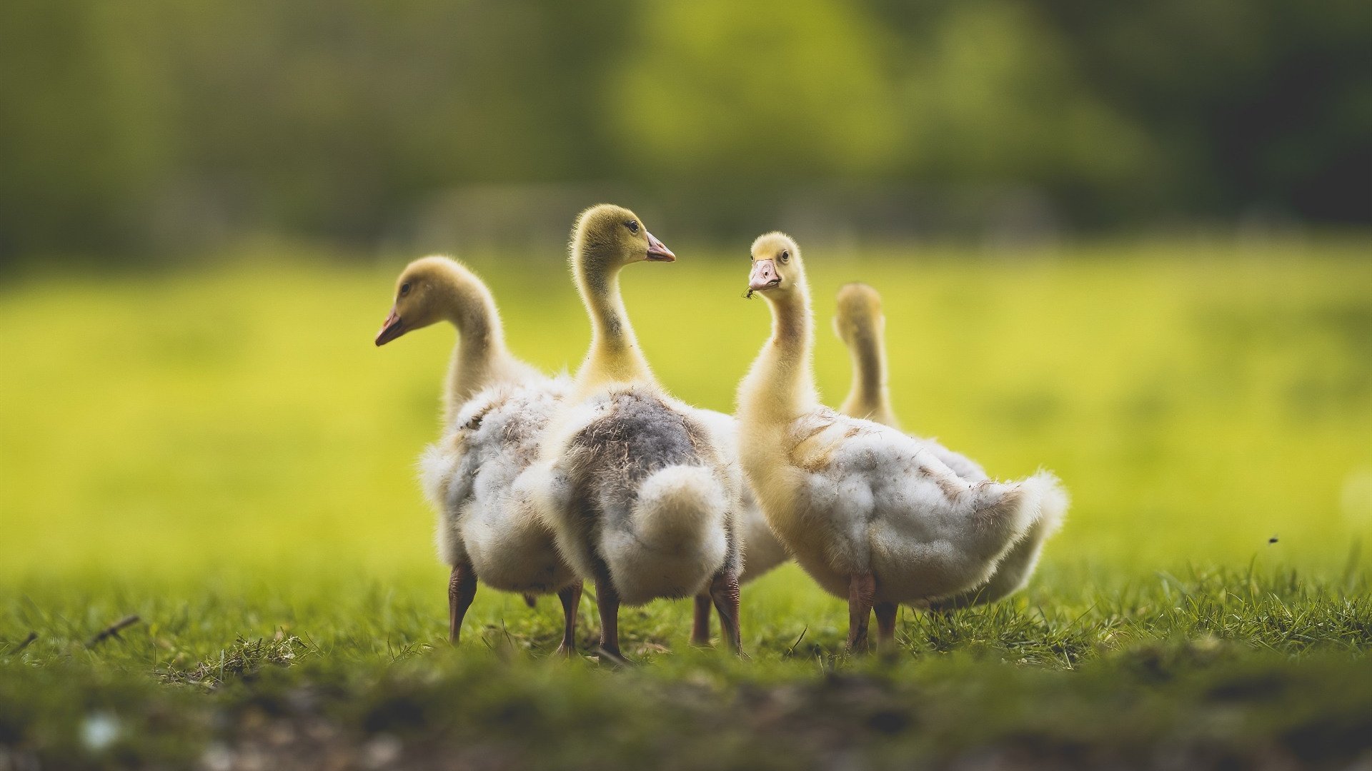 乐鱼体育网址入口-体育新闻中心协同地方文旅部门拓展体育IP合作传播,体育文旅成功案例