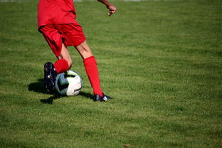 乐鱼体育在线下载-体育新闻中心联合高校打造“体育+传媒”实践课程体系