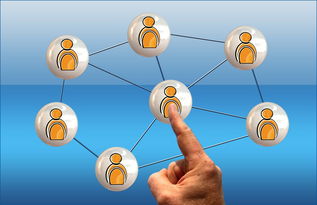 乐鱼体育在线下载-体育新闻中心联合高校打造“体育+传媒”实践课程体系